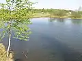 Davidov`s pool