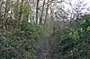 Benington High Wood