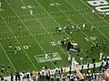 Ralphie leads the Buffaloes on to the field to start the season.