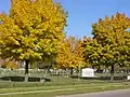 Concordia Cemetery