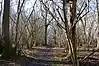 Great Hormead Park