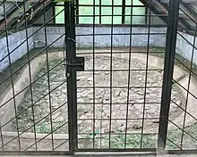 Kogasaka Stone Age Site