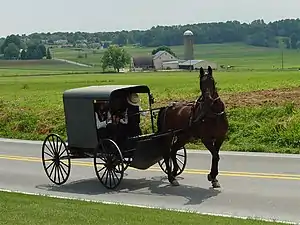 An Amish family in a horse-drawn square buggy in Lancaster County, Pennsylvania, United States