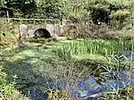 a pool covered with plants, there is a stone arch in the background
