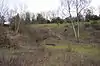 Roughdown Common