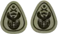 SANDF Rank Insignia WO1 Level 2 embossed badge (Senior Chief Warrant Officer)