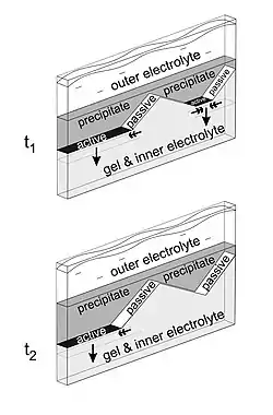 Sequence of formation of macroscopic patterns. Two consecutive snapshots are shown. Dark grey represents the precipitate, light grey the hydrogel with the inner electrolyte, white the semipermeable "passive", while black the traveling "active" borders. Simple arrows indicate the growing (traveling) direction of the active precipitate borders, while double arrows their directions of shrinking.