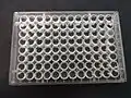 PVC Spot plate: top view (small wells)