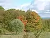 Therfield Heath
