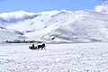 Equestrian sled in lake Çıldır