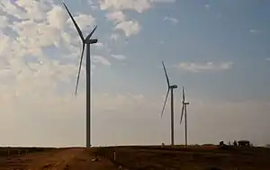 Three windmills in a field at golden hour