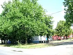 Market place in the village