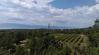 Fields of Štrbovo with village and Lake Prespa nearby in background