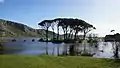 The Umbrella pine (Pinus pinea) forest of Strofylia and the Prokopos lagoon.