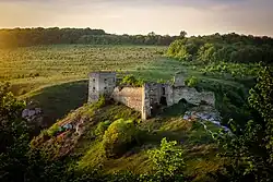 Castle in Kudryntsi