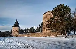 Castle in Kryvche