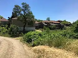 Houses in the village