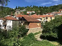 Houses in the village Pusta Reka