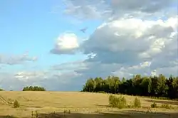 Landscape near the village of Rushinovo in Pereslavsky District