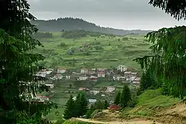 The village of Buynovo