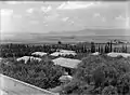 Ramat David 1936