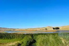 Marshy shoreline of Gori Lake