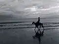 A horseman roaming on Kuakata beach