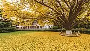 Peking University during the autumn