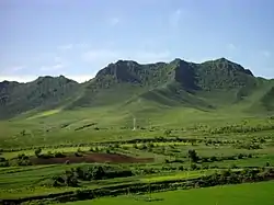 Grasslands in the summer