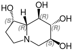 (+)-Castanospermine