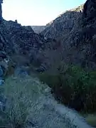 Plutonic rock walls hem in Darwin Canyon and the trail.  Trees appear.