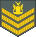 Staff sergeant(Namibian Army)