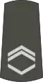 Старији водникStariji vodnik(Serbian Army)