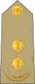 Lieutenant(Kenya Army)