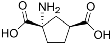 Stereo, skeletal formula of ACPD ((1S,3S)-1-amino,-1,3-dicarboxylic acid)