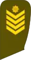 Seržantas majoras(Lithuanian Land Force)