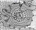 Pietro Vesconte's 1311 portolan of the eastern Mediterranean, the first signed portolan chart (Archivio di Stato, Florence)