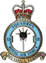 Squadron badge