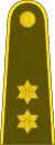 Vyresnysis leitenantas(Lithuanian Land Forces)