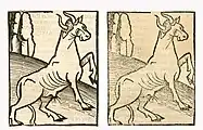 Bos primigenius taurus. Left: Hortus Sanitatis, Straßburg 1497 (II, 14). Right: Kleines Destillierbuch (Blatt 87r)