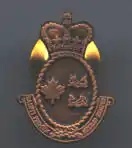 15 Year Long Service Pin