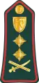 General(Gambian National Army)