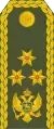 General Potpukovnik(Montenegrin Ground Army)