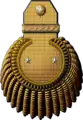 Epqulette for a Russian Major general in 1850.