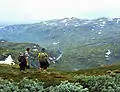 1960. View towards Storebotn. Today the highway follows the river along the western bank (i.e., to the right).