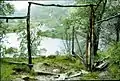 1961. Nesbø. Before 1930, the cattle drives had to take the path upwards Gravadalen to the left of the farm and pass over the mountain to Østerbø to avoid Nesbøgalden.