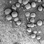 Loose hematite spherules at Eagle Crater. Spherule diameters are 3-6 mm.