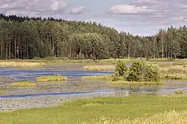 View of Lake Tabina