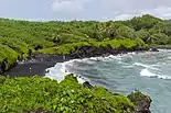 Black sand beach