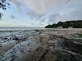 French Bay / Otitori Bay at low tide